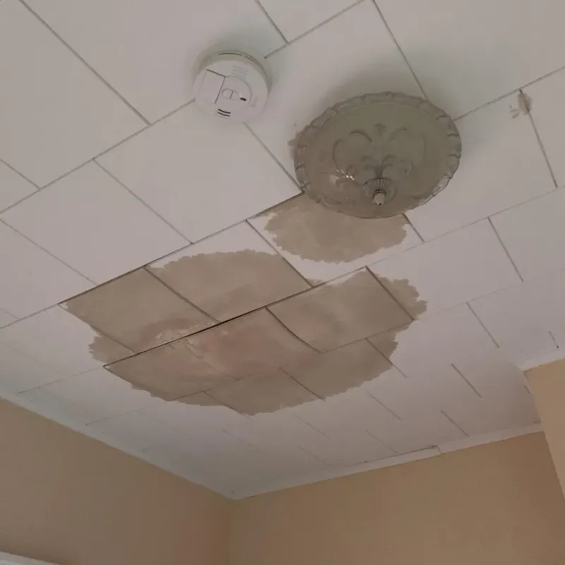 Ceiling Water Damage Repair in York Harbor, ME