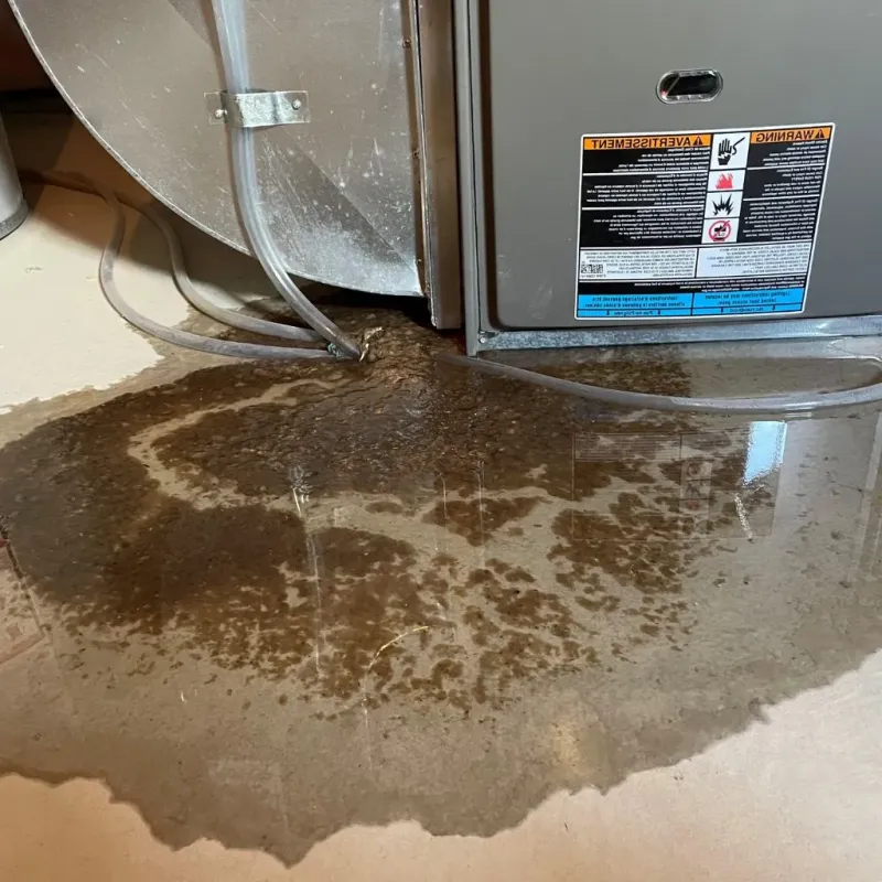 Pipe Burst and Leak Restoration in York Harbor, ME
